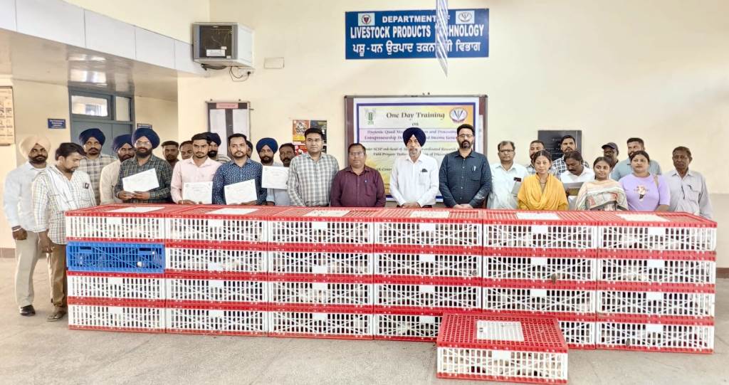 Vet Varsity Conducts SkillOriented Training on Quail Meat Processing